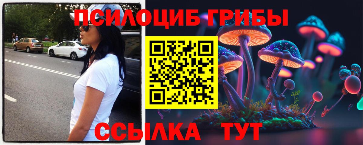 как найти закладки  Вход с VPN  Ярцево  Галлюциногенные грибы Cubensis 