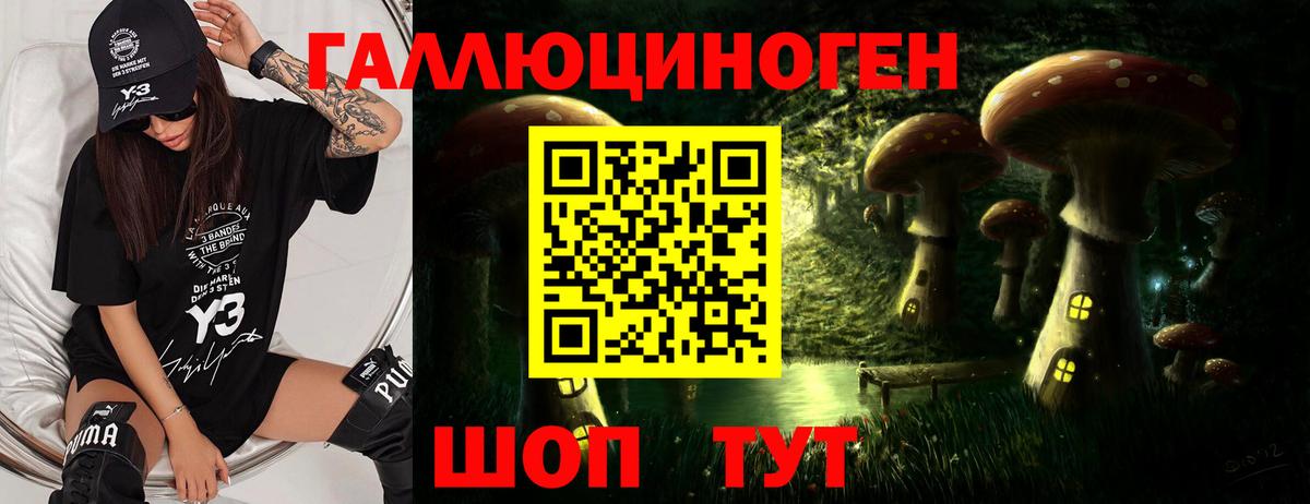 Псилоцибиновые грибы Psilocybine cubensis Ярцево